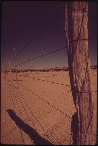 *image courtesy of www.commons.wkipedia.org